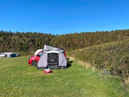 Large flat pitch