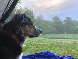 Watching the sun rise over the lake