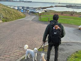 Road into the caravan park