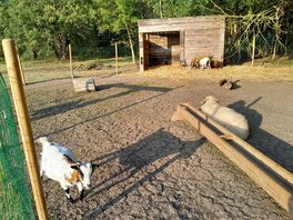 Parc des animaux