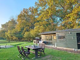 Lovely yard