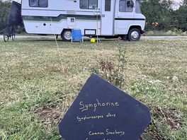 Camper pitch