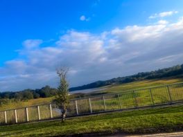 The bird hide east