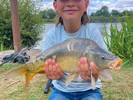 Fish on