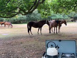 Making a cuppa being watched by the ponies