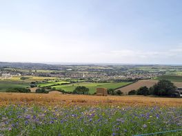 View on the way up to site
