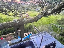 View from the sink for dishes.