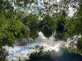 Ideal for a dog walk.