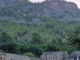 Brilliant camp site