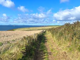 On the way to musslewick