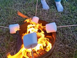Toasted marshmallows