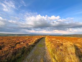 Cracking views whilst you walk