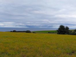 Just some of the picturesque view from the tent. wonderful!