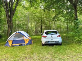 Typical woodland site