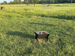 Bbq