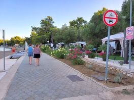 Along front by watersports, toward restaurant
