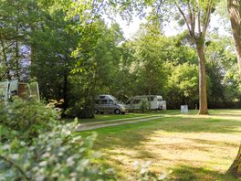 Pitches sheltered by trees