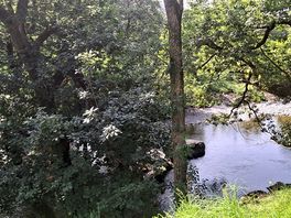 View of river from tent