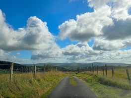 Road to the haven.