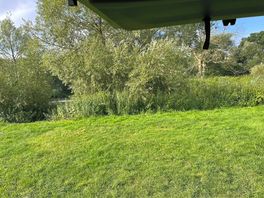 Field
