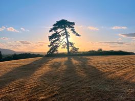 Field near by