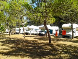 Pitches under the trees