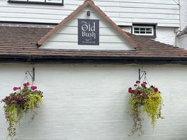 The old bush