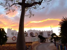 Atardecer