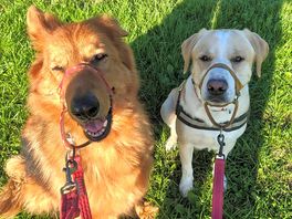 My two max-lee
