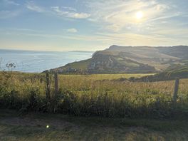 View from the dog walking field
