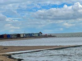 View of the estuary