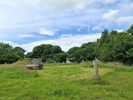 Flat open area out of the woodland