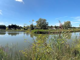 Panoramic lake view