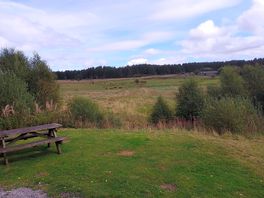 The site