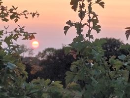 Sunset at martha's down