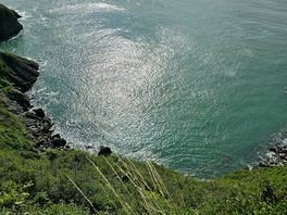 Sea