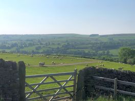 View from the site