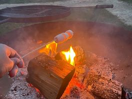 Toasted marshmallows