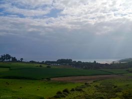 Mooi landschap