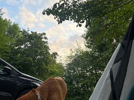 Great view from our tent.