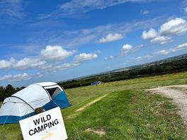 Wildcamp field