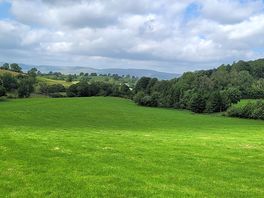 View from upper field