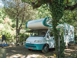Shaded motorhome pitches