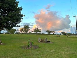 Park view
