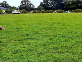 Campsite