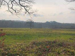 View from footpath behind campsite towards fishing lakes