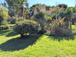 More garden views