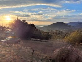 Petit matin