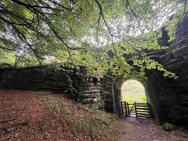 Forest walk under the railway, 5 minutes walk direct from camp