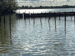 Stimmungsvoll am dümmer see